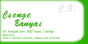 csenge banyai business card